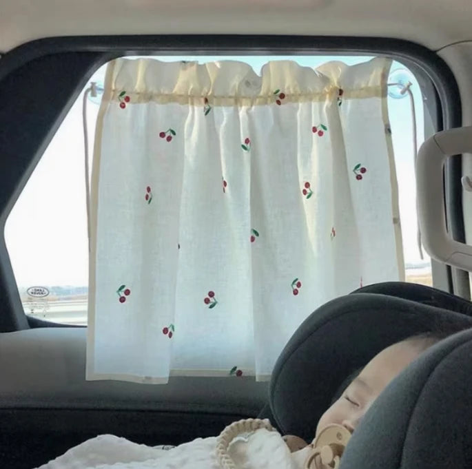 Car Curtain