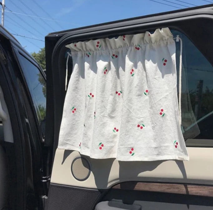 Car Curtain