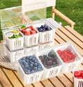 Fruit Storage Container